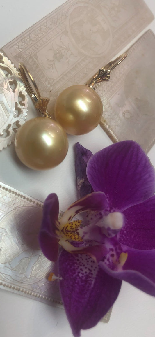 South Seas Rare Golden Pearl Earrings